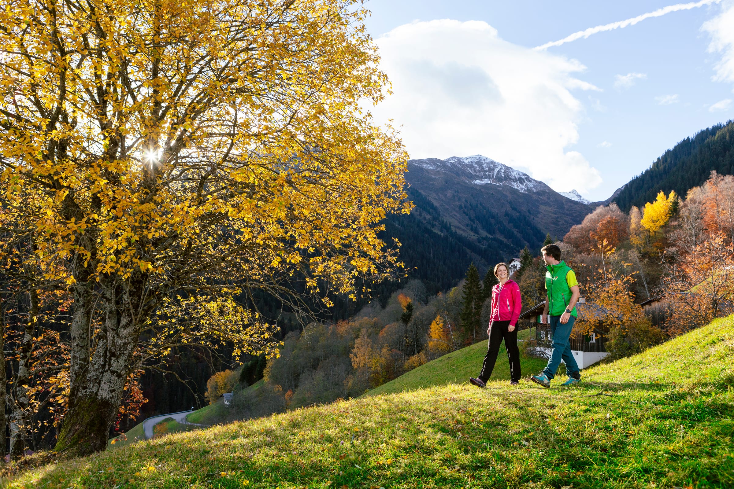 Herbstwandern im Montafon — goldener Herbstbaum